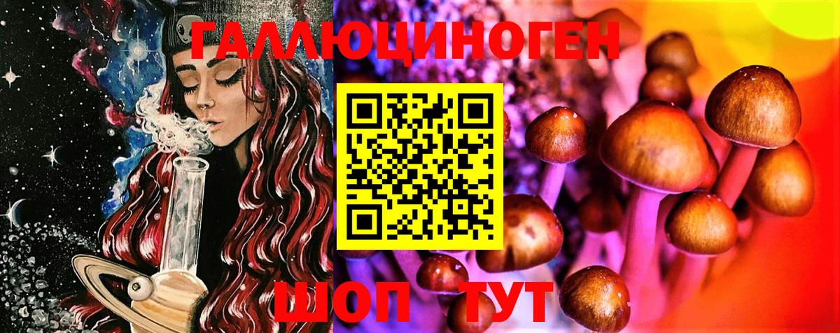 Рассказово  Псилоцибиновые грибы MAGIC MUSHROOMS  Вход с VPN 