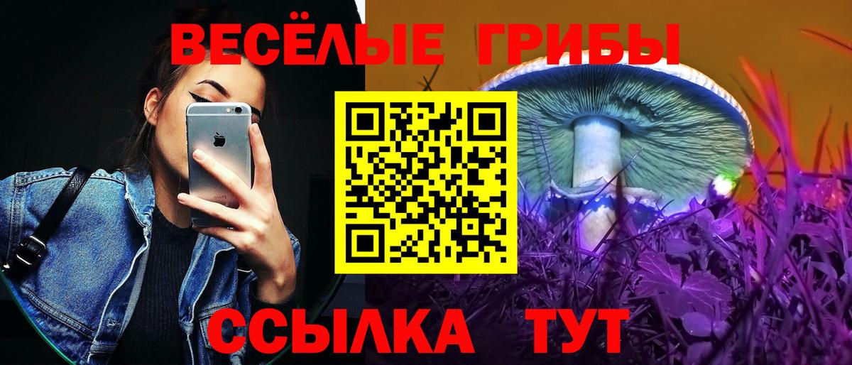 Псилоцибиновые грибы мухоморы Рассказово
